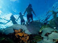 grandeislandwithsnorkelinggoa